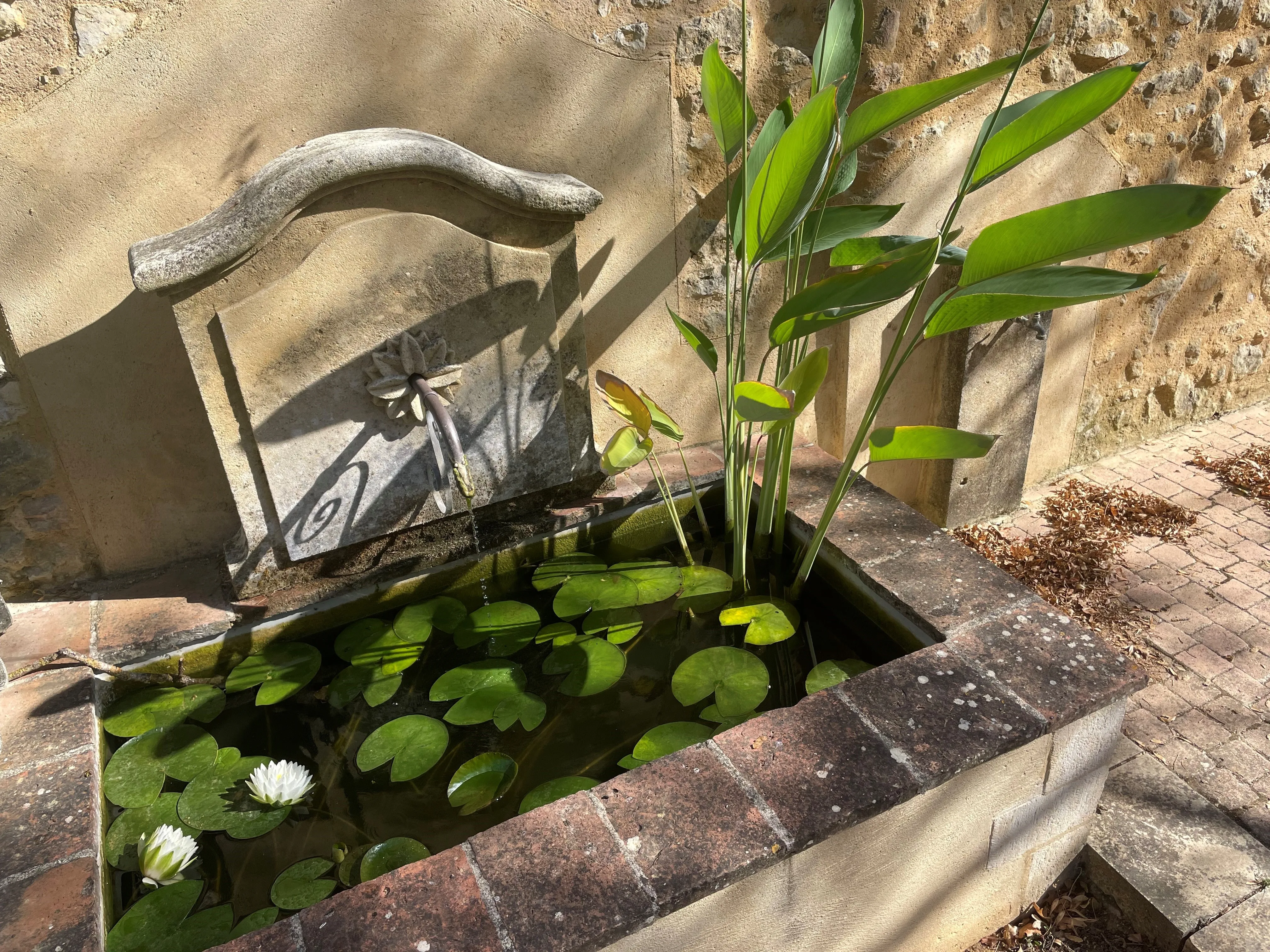 Fontaine et bassin de nénuphars sur la terrasse ombragée